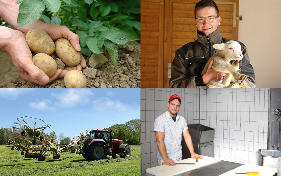 Aktuelle Jobangebote Aktuelle Jobangebote