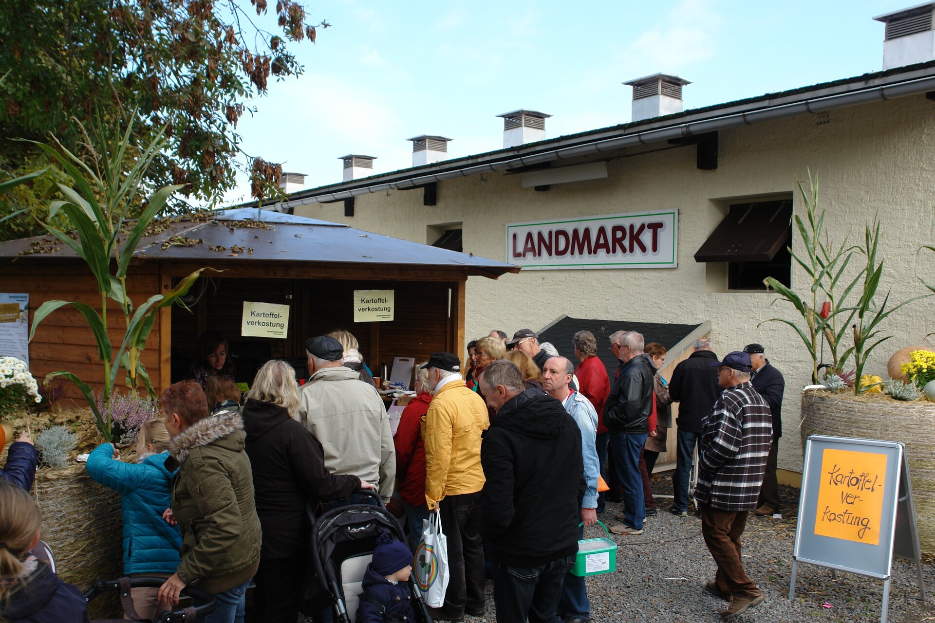 Kartoffeltage im Landmarkt Kartoffeltage im Landmarkt