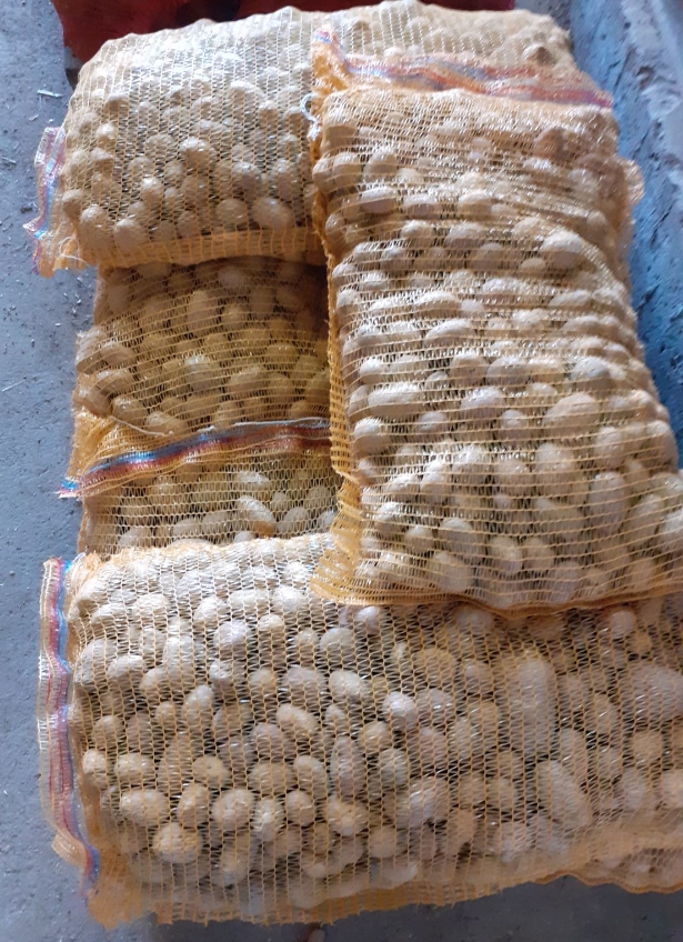 Achtung Kleintierhalter! Sonderpreis Futterkartoffeln!!!