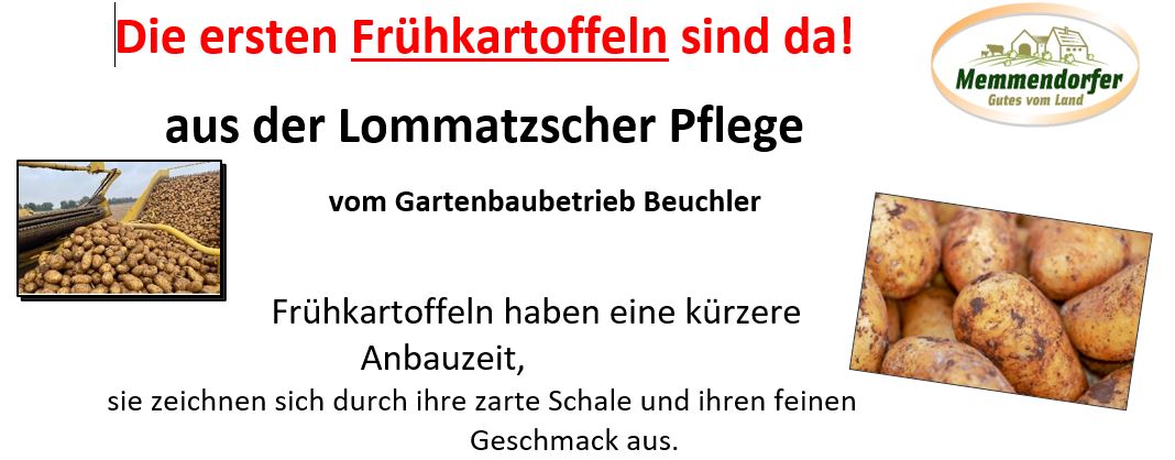 Die ersten Frühkartoffeln sind da!