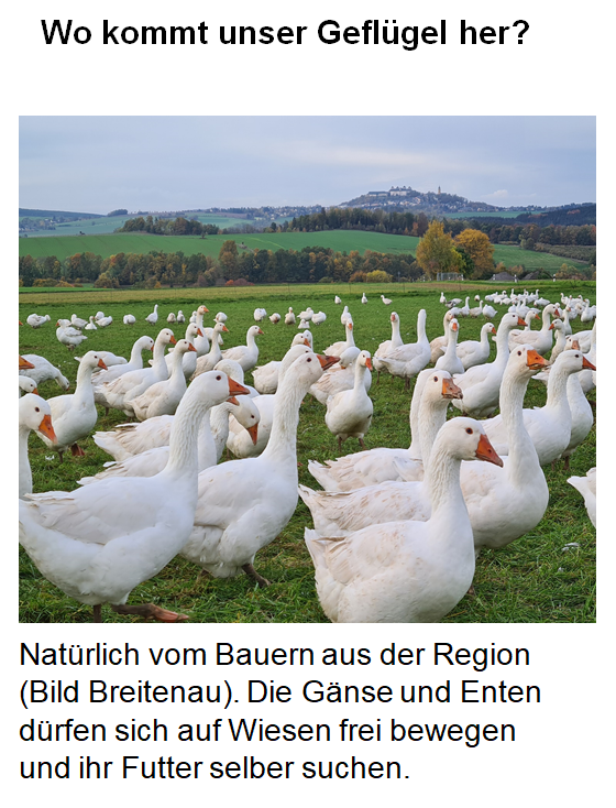 Geflügel zum Weihnachtsfest Geflügel zum Weihnachtsfest