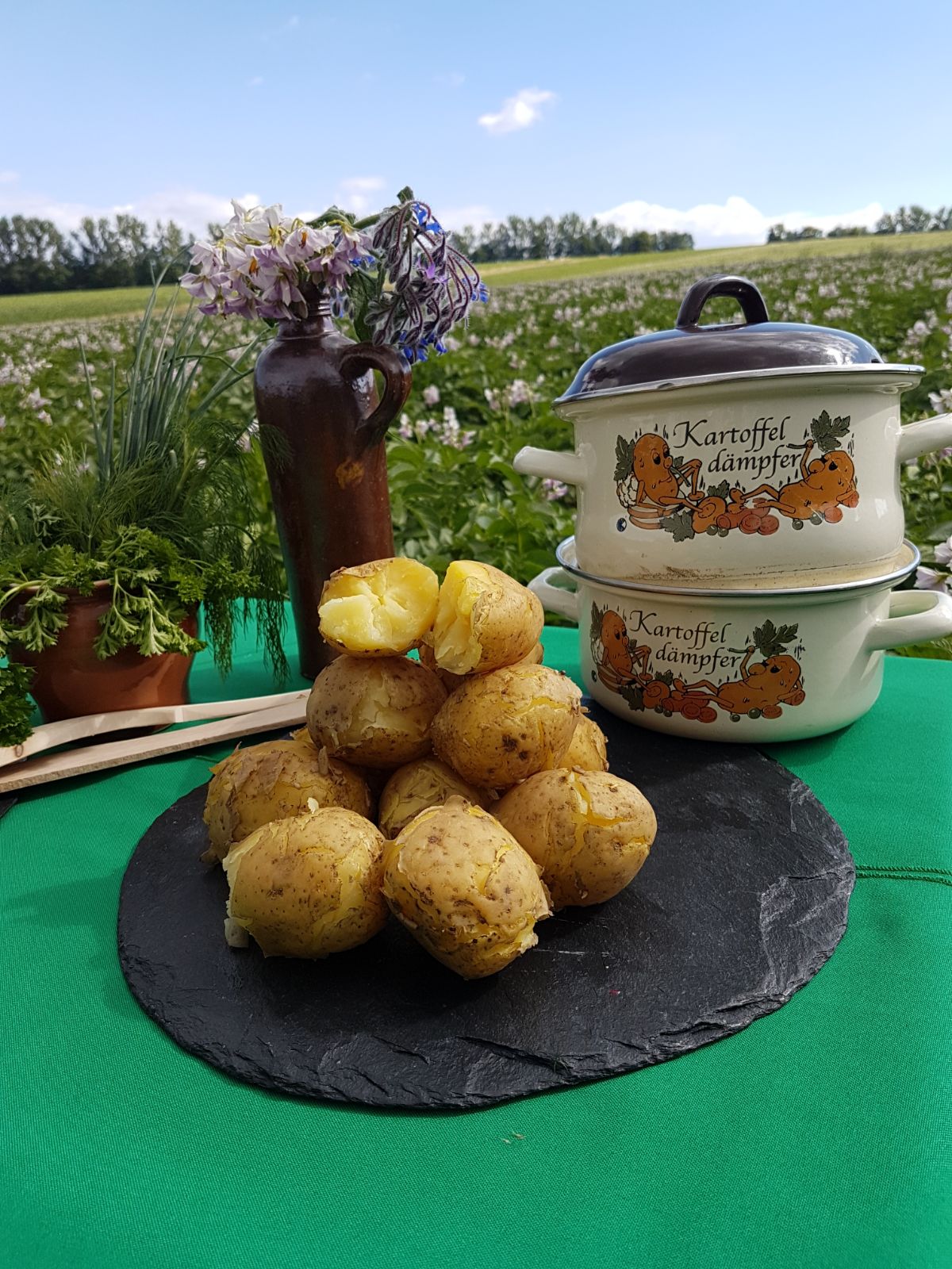 Unsere Speisekartoffelsorten Unsere Speisekartoffelsorten