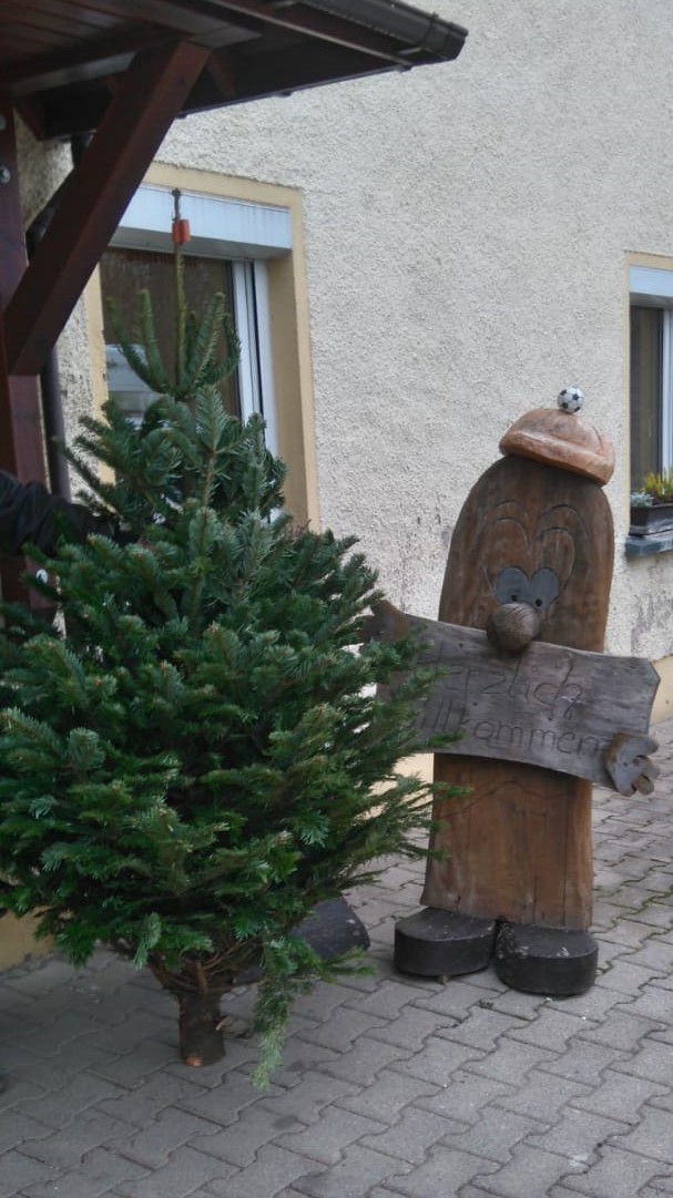 Weihnachtsbäume eingetroffen Weihnachtsbäume eingetroffen